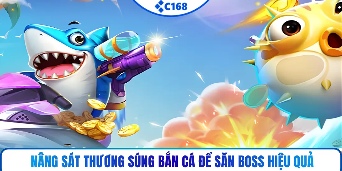 Cân đối lượng đạn và xác định thời điểm ra đòn chính xác
